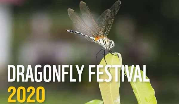 Thumbi Mahotsavam 2020 - Kerala will host 3rd National Dragonfly Festival